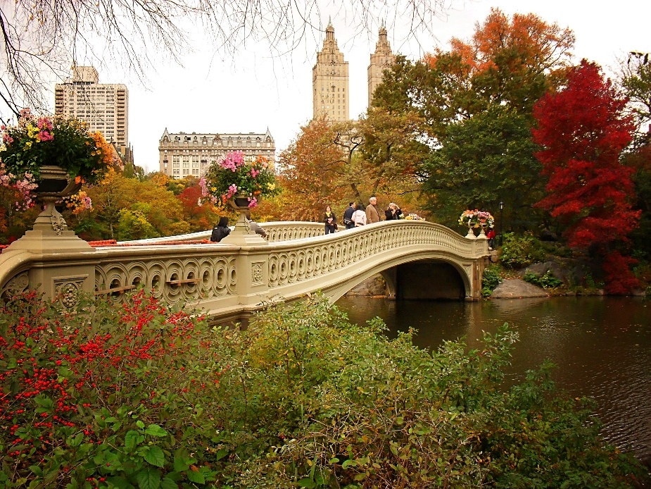 bí mật công viên Central Park ảnh 3 bi mat cong vien Central Park anh 3