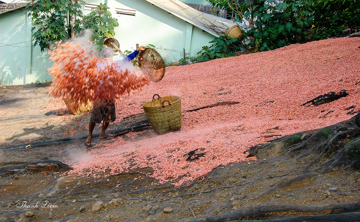 Quần đảo Nam Du ảnh 9 Quan dao Nam Du anh 9