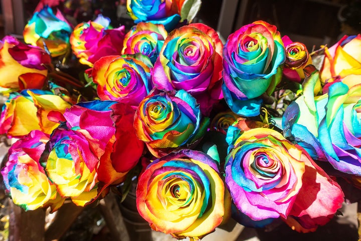 Tu vi thu bay ngay 6/8 cua cac cung hoang dao hinh anh