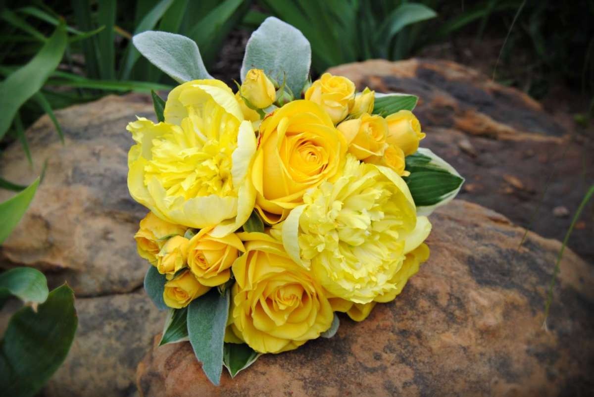 Tu vi chu nhat ngay 7/8 cua cac cung hoang dao hinh anh