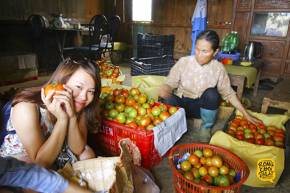 du lich nha vuon o da lat anh 3