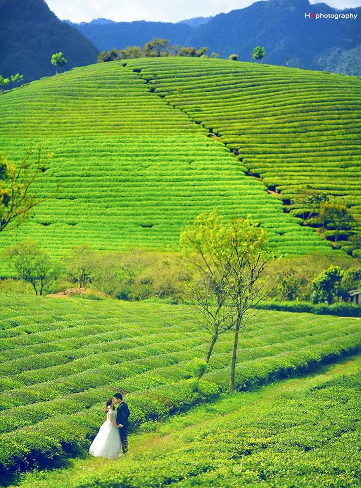những địa điểm chụp ảnh cưới ảnh 1 nhung dia diem chup anh cuoi anh 1