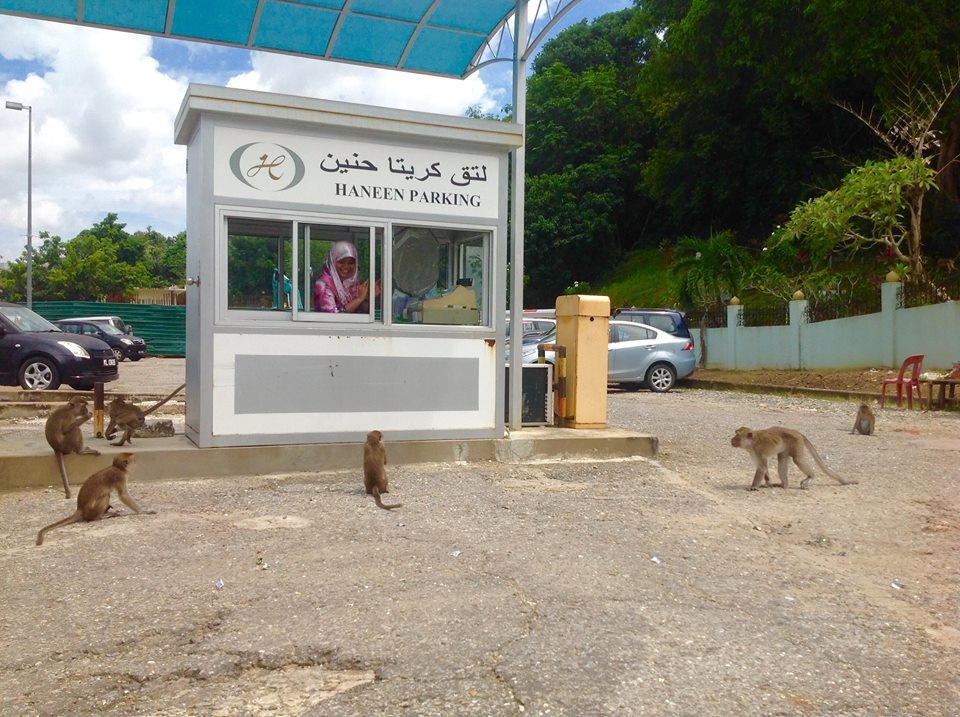 kinh nghiệm du lịch Brunei ảnh 6 kinh nghiem du lich Brunei anh 6