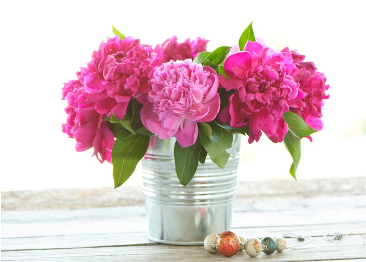 Tu vi chu nhat ngay 14/8 cua cac cung hoang dao hinh anh