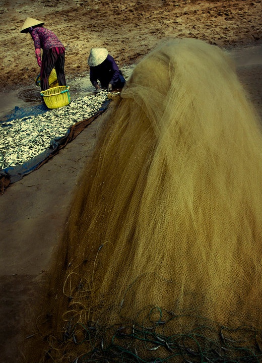 Làng chài Vũng Tàu ảnh 3 Lang chai Vung Tau anh 3
