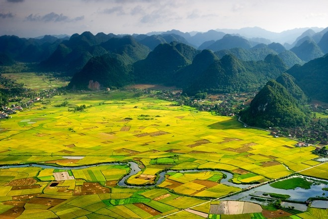 những địa điểm ngắm lúa chín ảnh 4 nhung dia diem ngam lua chin anh 4