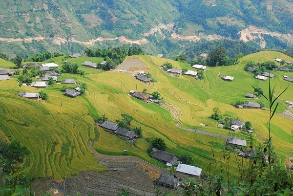 những địa điểm ngắm lúa chín ảnh 6 nhung dia diem ngam lua chin anh 6