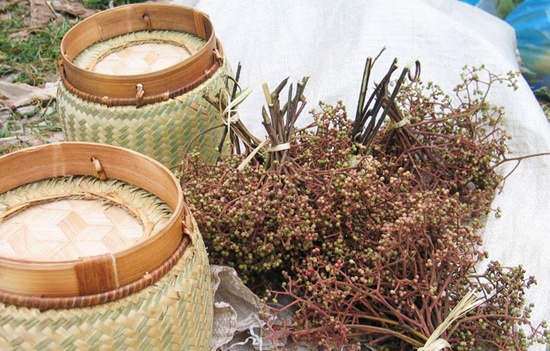 Yên Bái có gì ảnh 8 Yen Bai co gi anh 8