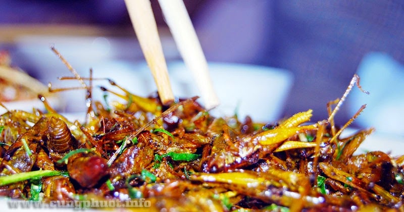 Yên Bái có gì ảnh 3 Yen Bai co gi anh 3