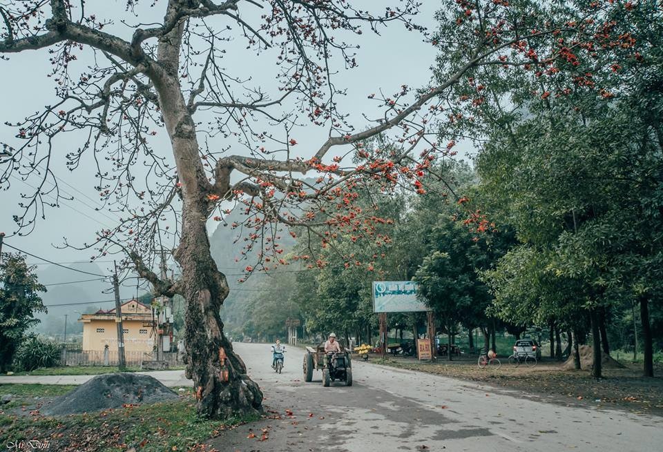 Vẻ đẹp bình yên của làng quê Ninh Bình ảnh 19 Ve dep binh yen cua lang que Ninh Binh anh 19