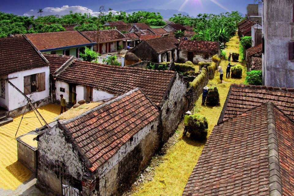 Vẻ đẹp bình yên của làng quê Ninh Bình ảnh 2 Ve dep binh yen cua lang que Ninh Binh anh 2