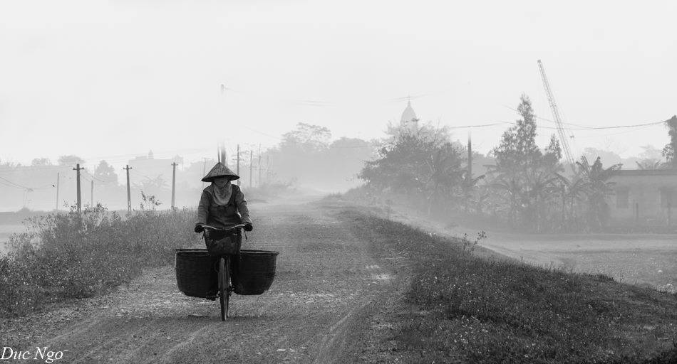 Vẻ đẹp bình yên của làng quê Ninh Bình ảnh 16 Ve dep binh yen cua lang que Ninh Binh anh 16