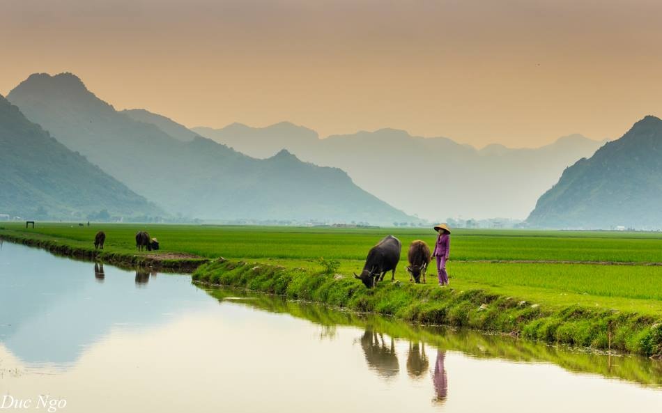 Vẻ đẹp bình yên của làng quê Ninh Bình ảnh 15 Ve dep binh yen cua lang que Ninh Binh anh 15
