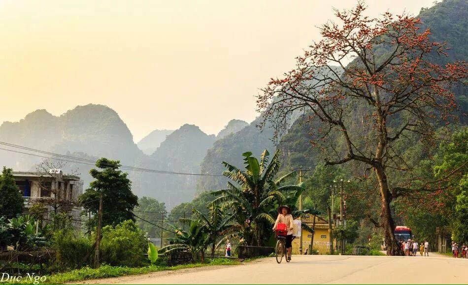 Vẻ đẹp bình yên của làng quê Ninh Bình ảnh 17 Ve dep binh yen cua lang que Ninh Binh anh 17