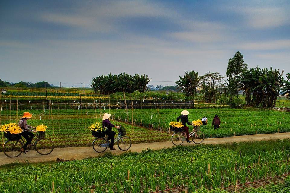 Vẻ đẹp bình yên của làng quê Ninh Bình ảnh 6 Ve dep binh yen cua lang que Ninh Binh anh 6