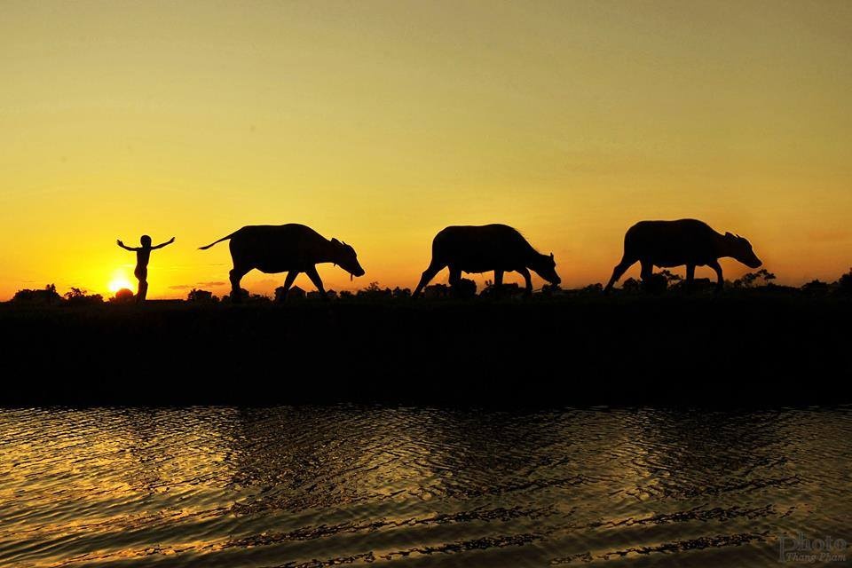 Vẻ đẹp bình yên của làng quê Ninh Bình ảnh 10 Ve dep binh yen cua lang que Ninh Binh anh 10