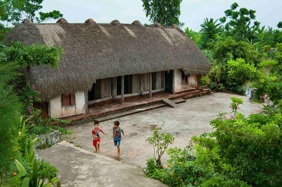 Vẻ đẹp bình yên của làng quê Ninh Bình ảnh 3 Ve dep binh yen cua lang que Ninh Binh anh 3