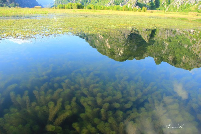 Nhung dam pha dep nhat Viet Nam anh 2