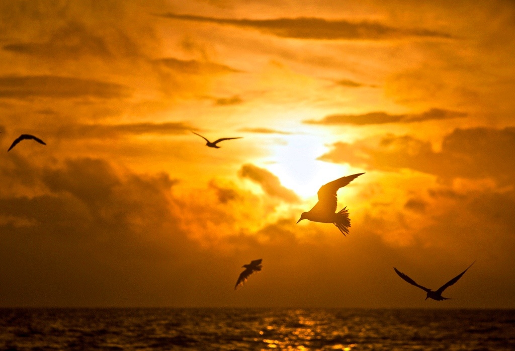 Nhung dam pha dep nhat Viet Nam anh 8