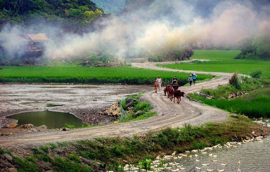 Vẻ đẹp bình yên của làng quê Ninh Bình ảnh 13 Ve dep binh yen cua lang que Ninh Binh anh 13