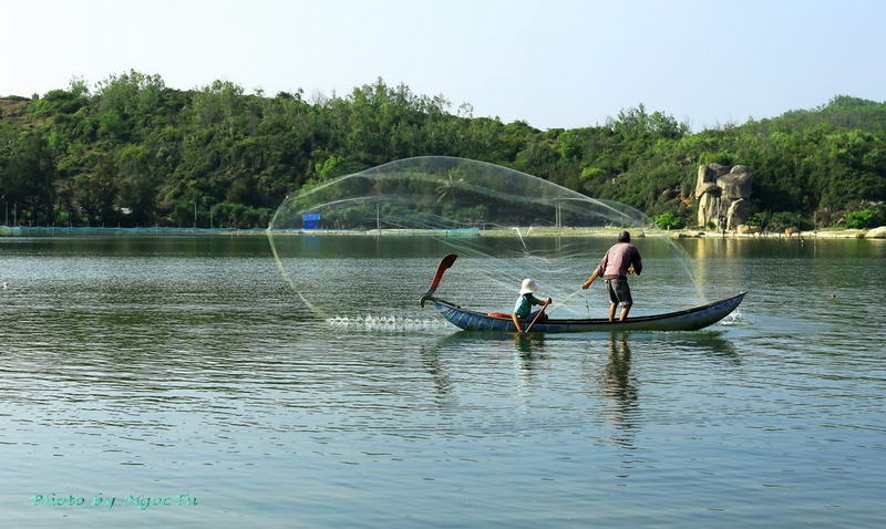 Kham pha nhung dam nuoc dep nhat Viet Nam hinh anh