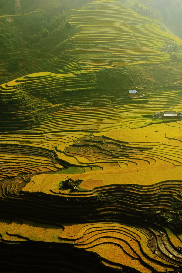 những thửa ruộng bậc thang đẹp nhất Việt Nam ảnh 2 nhung thua ruong bac thang dep nhat Viet Nam anh 2