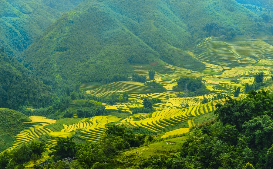 những thửa ruộng bậc thang đẹp nhất Việt Nam ảnh 1 nhung thua ruong bac thang dep nhat Viet Nam anh 1