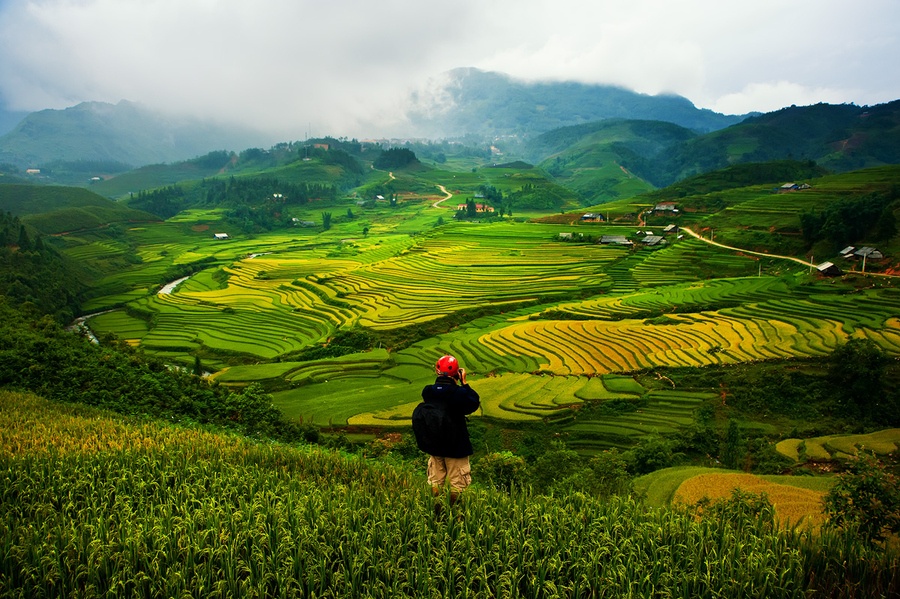 những thửa ruộng bậc thang đẹp nhất Việt Nam ảnh 3 nhung thua ruong bac thang dep nhat Viet Nam anh 3