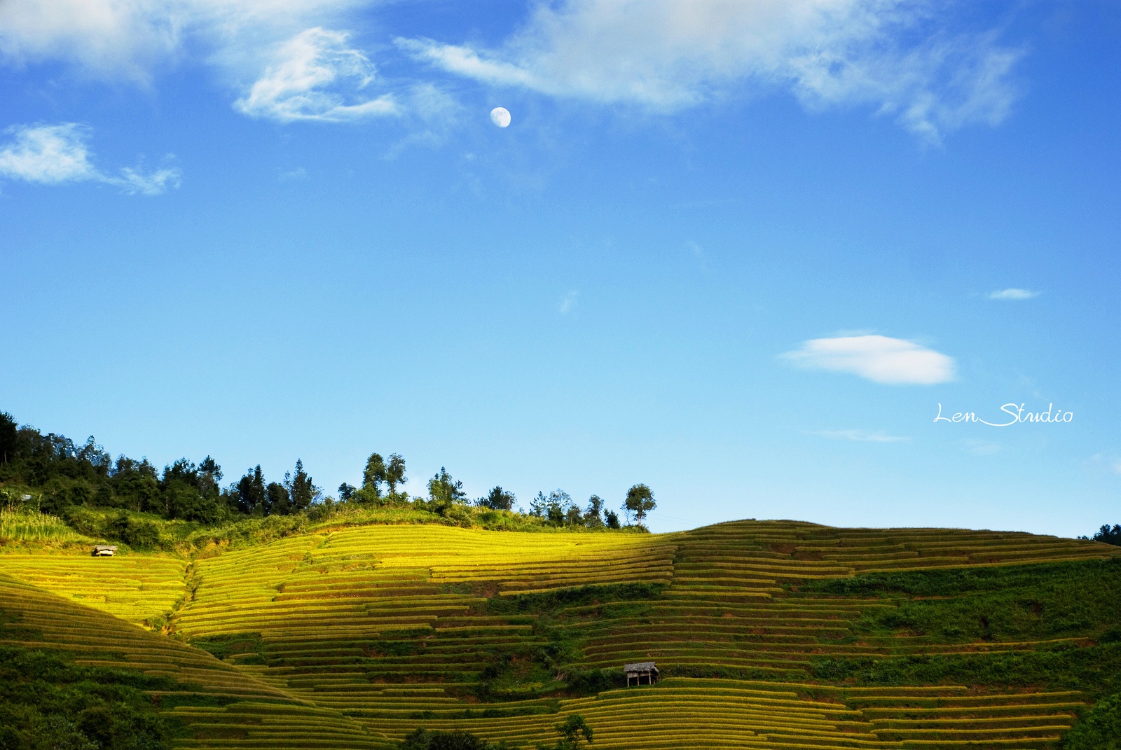 những thửa ruộng bậc thang đẹp nhất Việt Nam ảnh 8 nhung thua ruong bac thang dep nhat Viet Nam anh 8