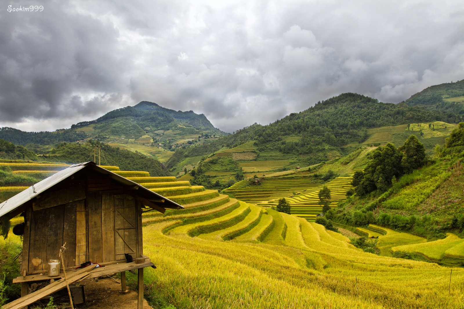 những thửa ruộng bậc thang đẹp nhất Việt Nam ảnh 9 nhung thua ruong bac thang dep nhat Viet Nam anh 9