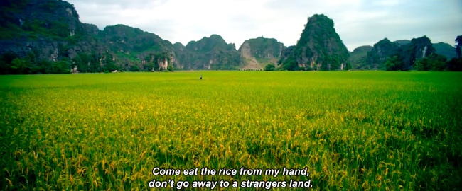 Canh dep Ninh Binh trong phim anh anh 5