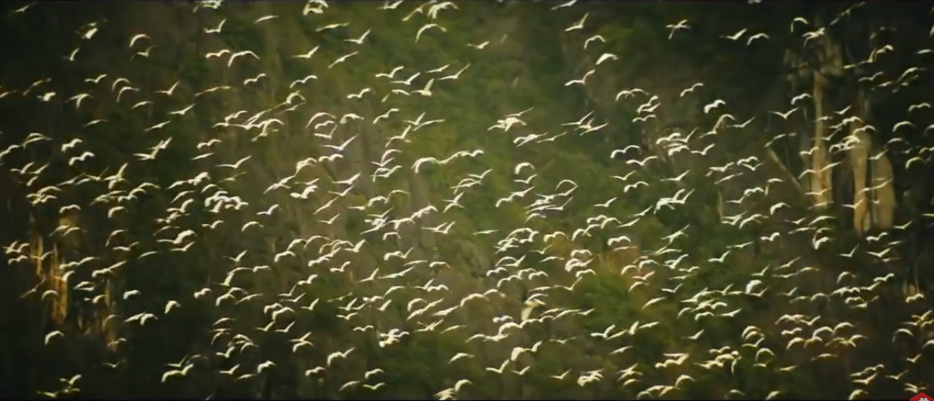 Canh dep Ninh Binh trong phim anh anh 14