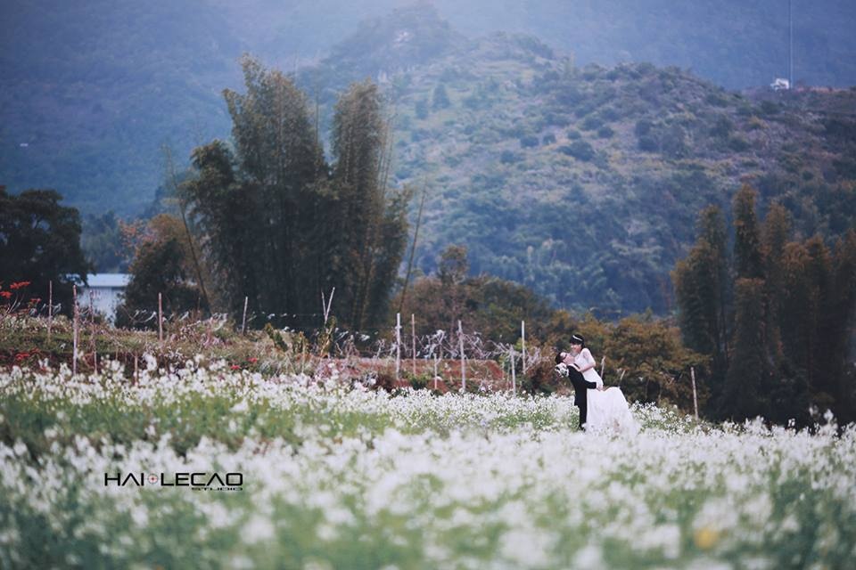 những địa điểm chụp ảnh cưới đẹp ảnh 14 nhung dia diem chup anh cuoi dep anh 14