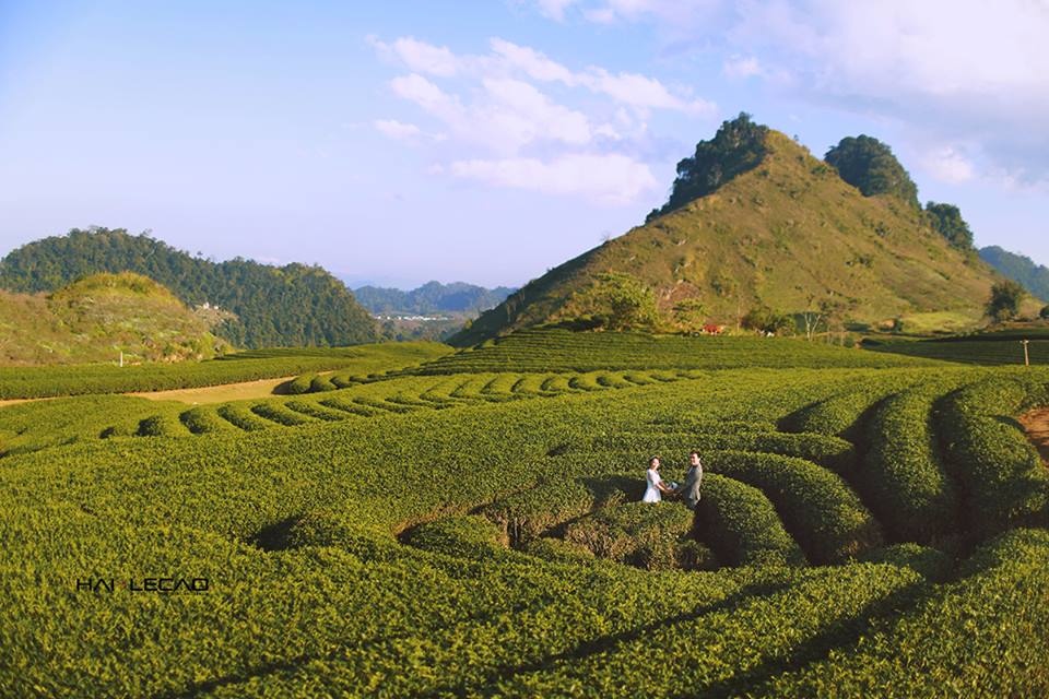 những địa điểm chụp ảnh cưới đẹp ảnh 15 nhung dia diem chup anh cuoi dep anh 15