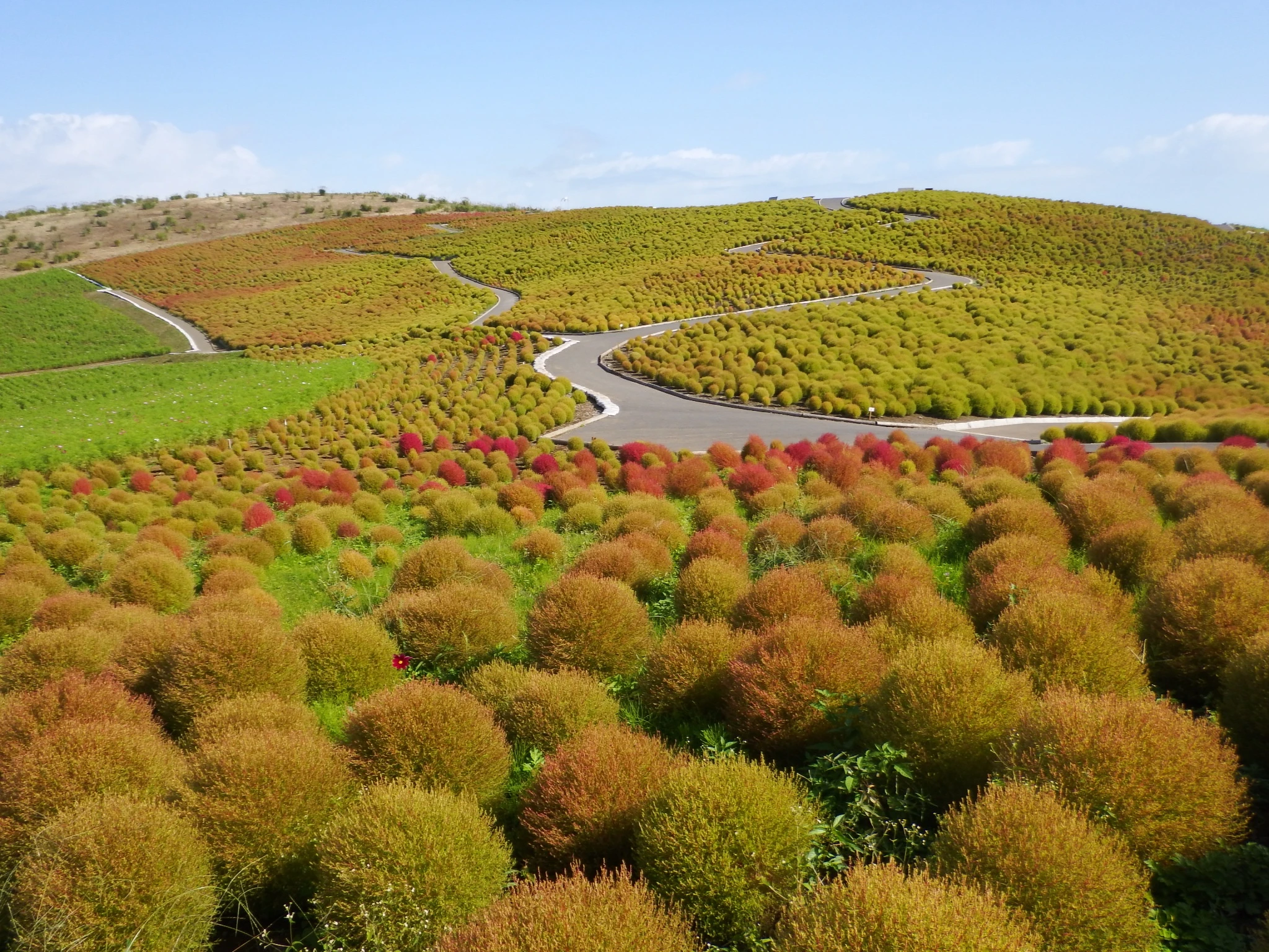 mua thu di dau anh 1