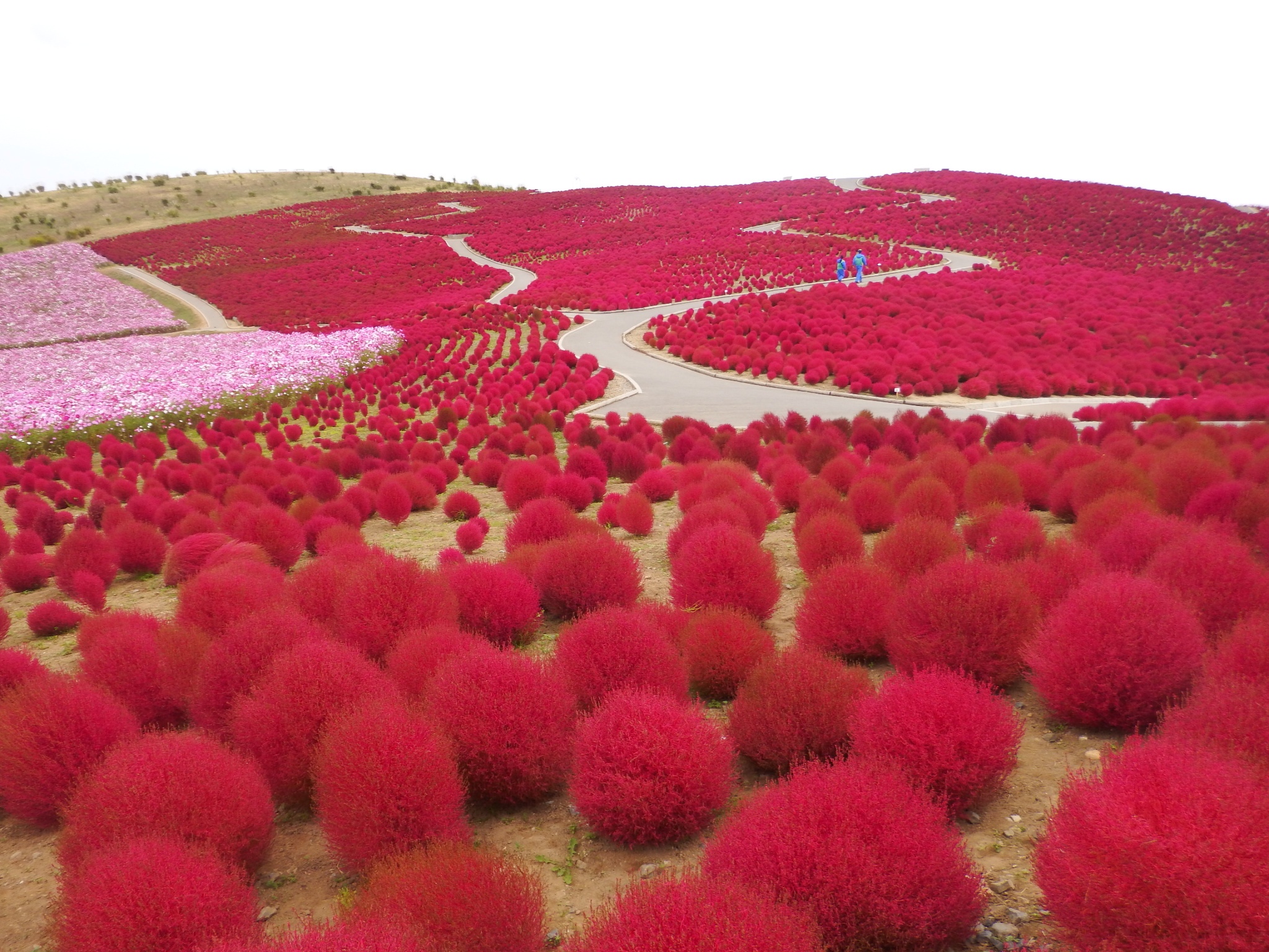 mua thu di dau anh 2