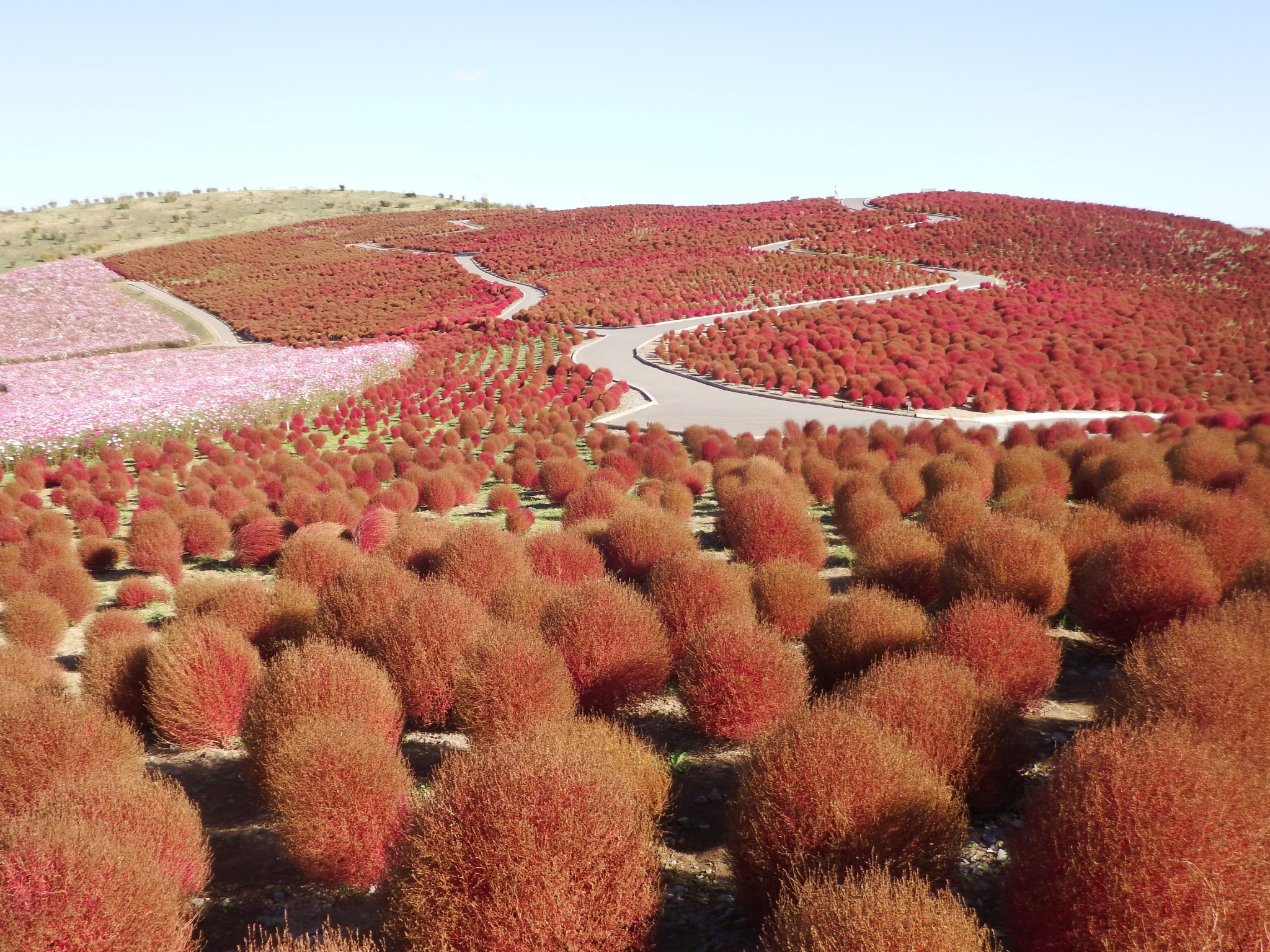 mua thu di dau anh 3