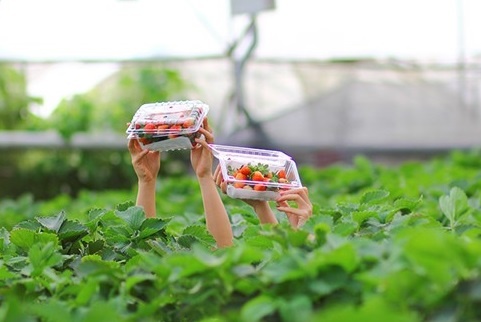 Diem nhan moi la o Da Lat hinh anh