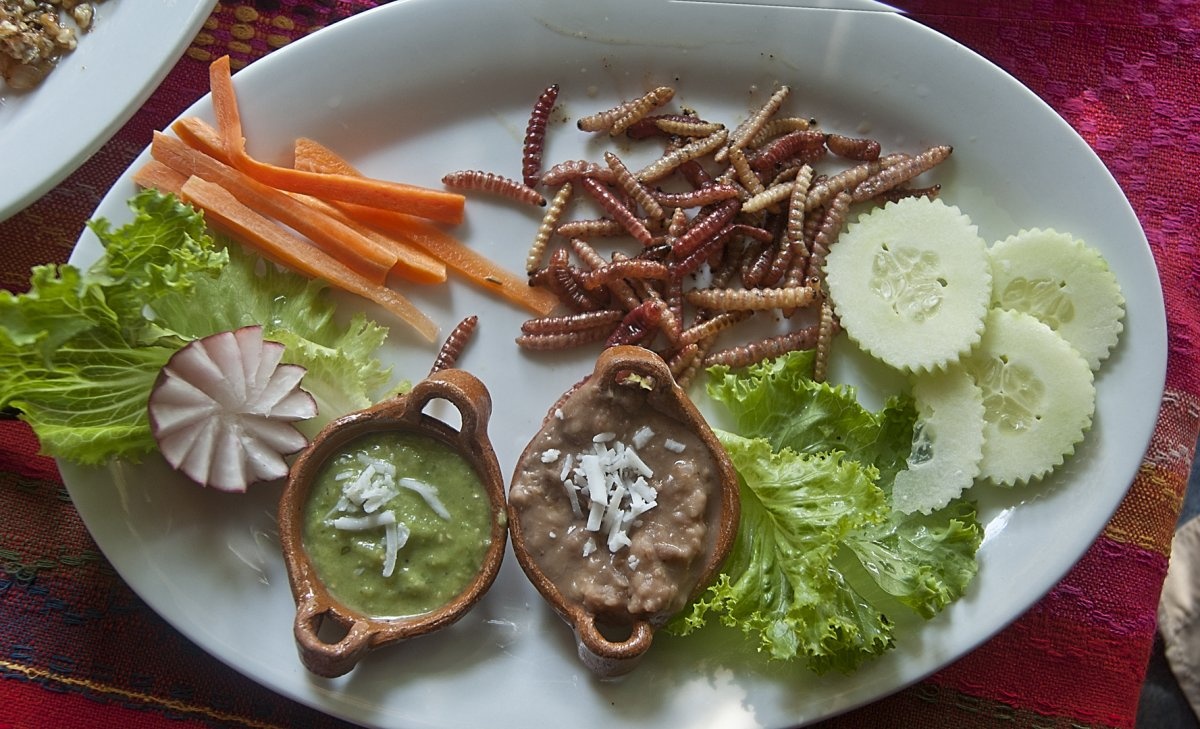 những món ăn rợn tóc gáy ảnh 10 nhung mon an ron toc gay anh 10