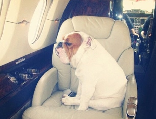 Thu tieu tien xa xi cua gioi nha giau tren may bay tu nhan hinh anh