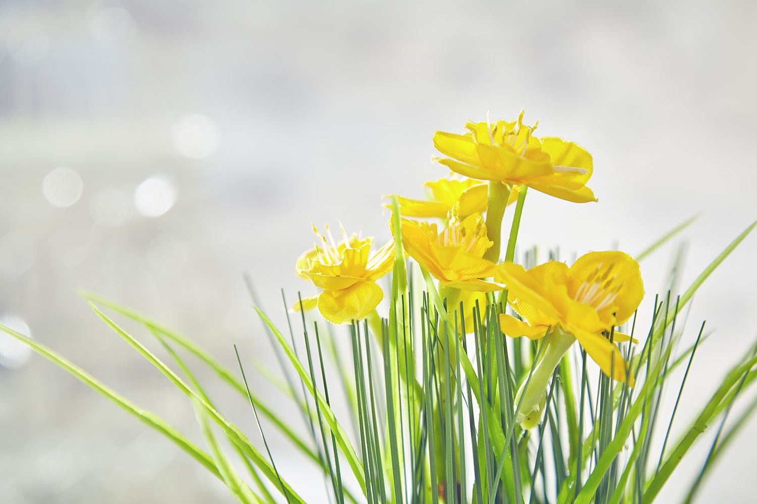 Tu vi thu tu ngay 7/9 cua cac cung hoang dao hinh anh