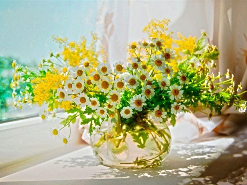 Tu vi thu hai ngay 12/9 cua cac cung hoang dao hinh anh