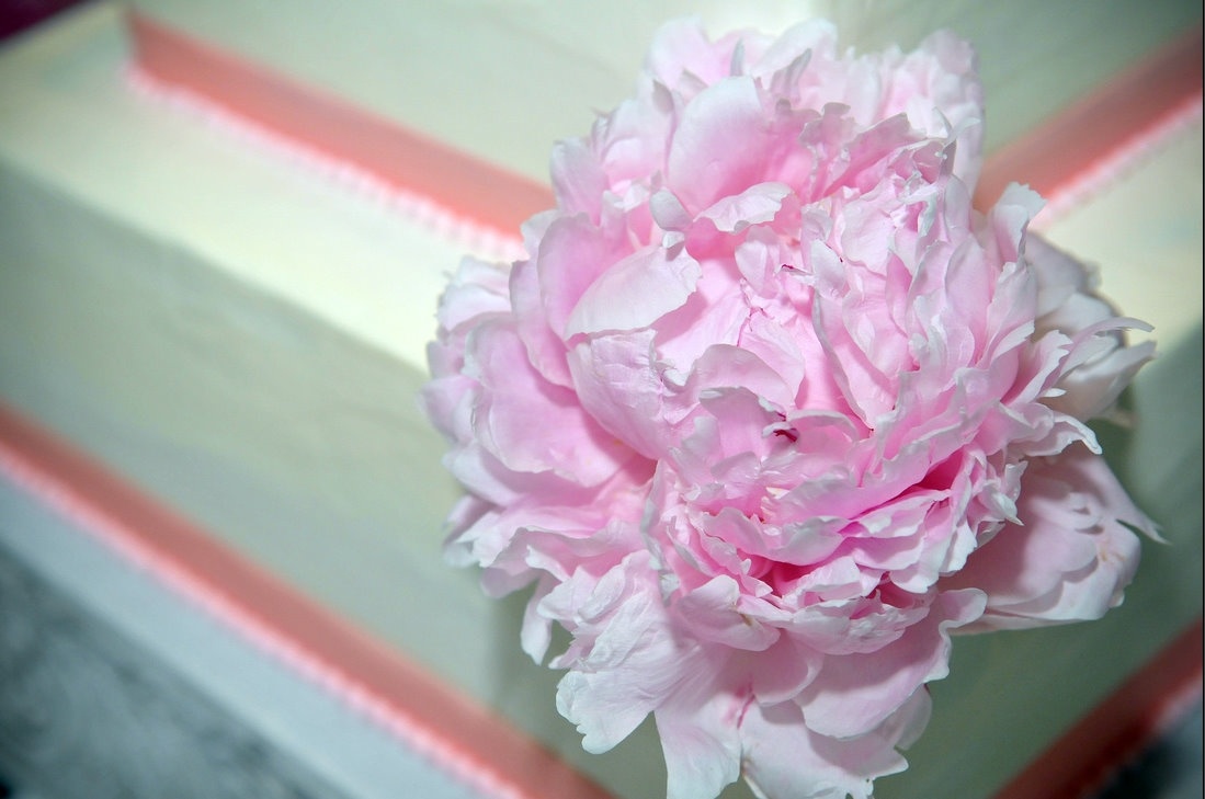 Tu vi thu ba ngay 13/9 cua cac cung hoang dao hinh anh