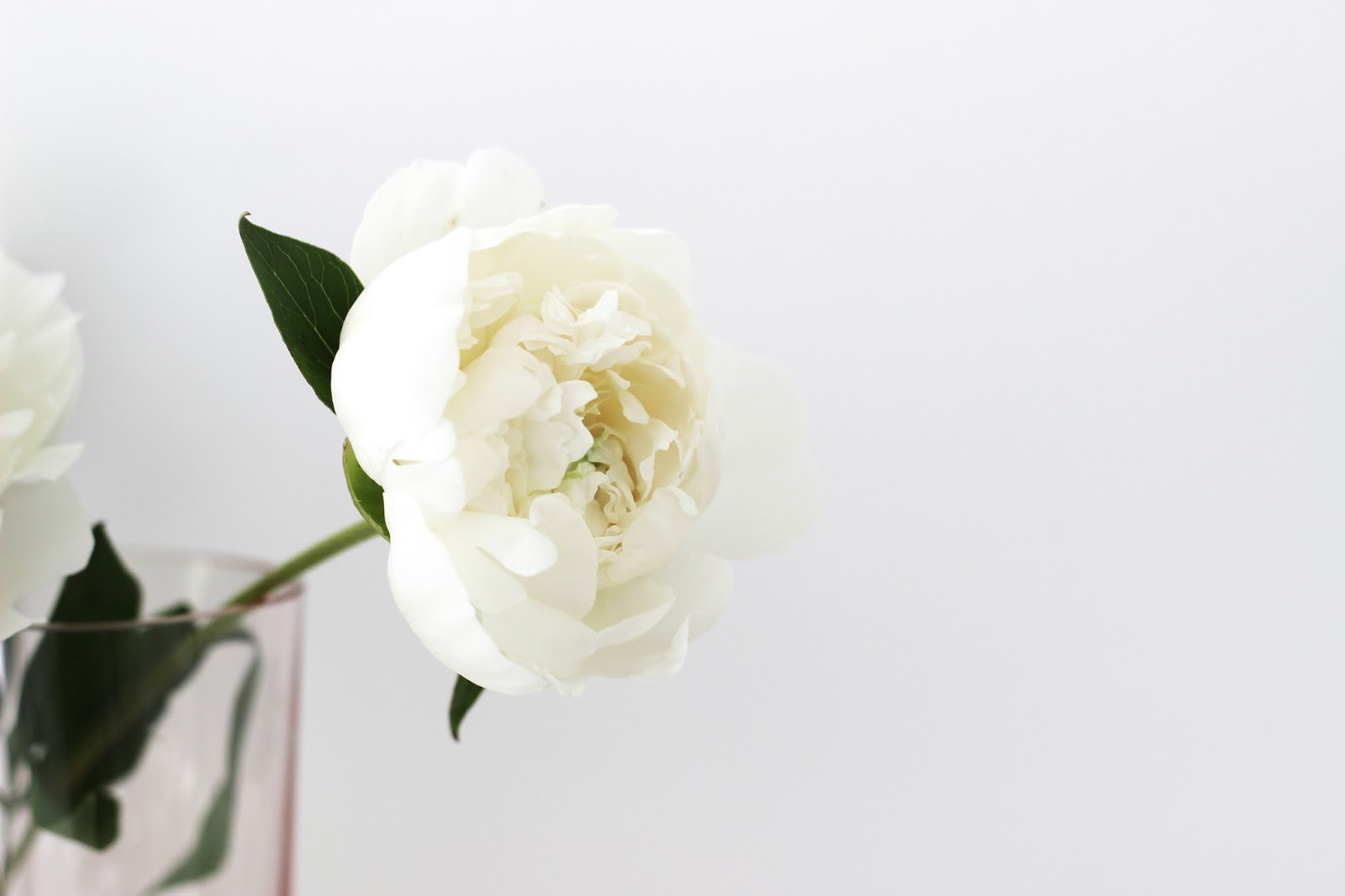 Tu vi thu tu ngay 14/9 cua cac cung hoang dao hinh anh