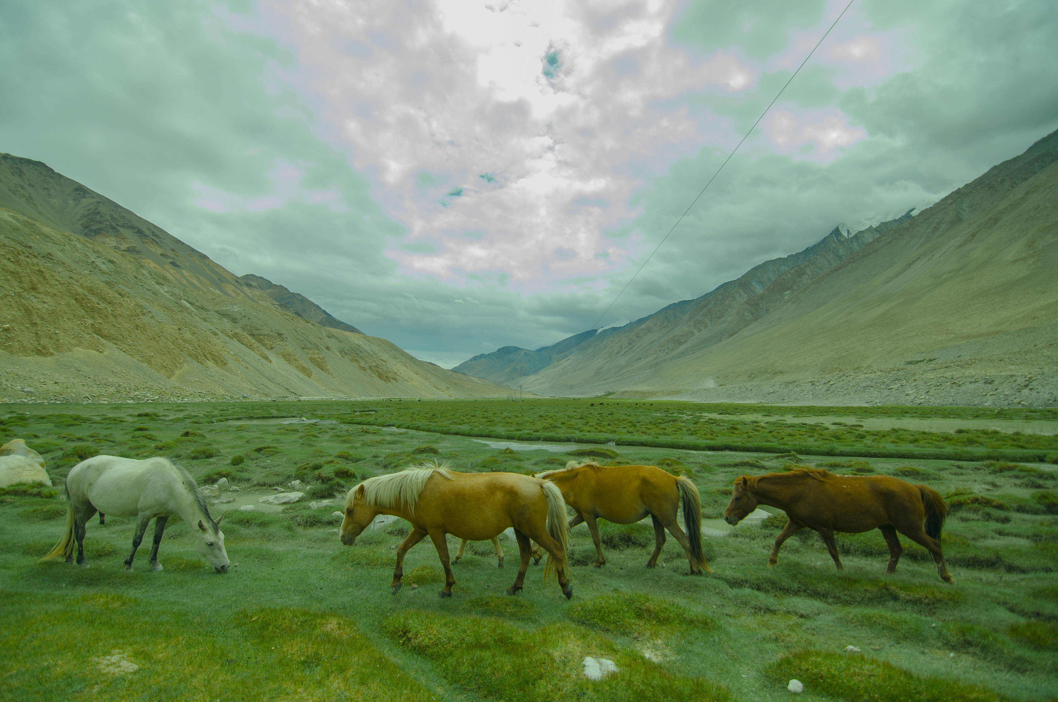 hanh trinh kham pha Bac An Do anh 6