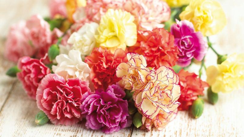 Tu vi thu ba ngay 20/9 cua cac cung hoang dao hinh anh