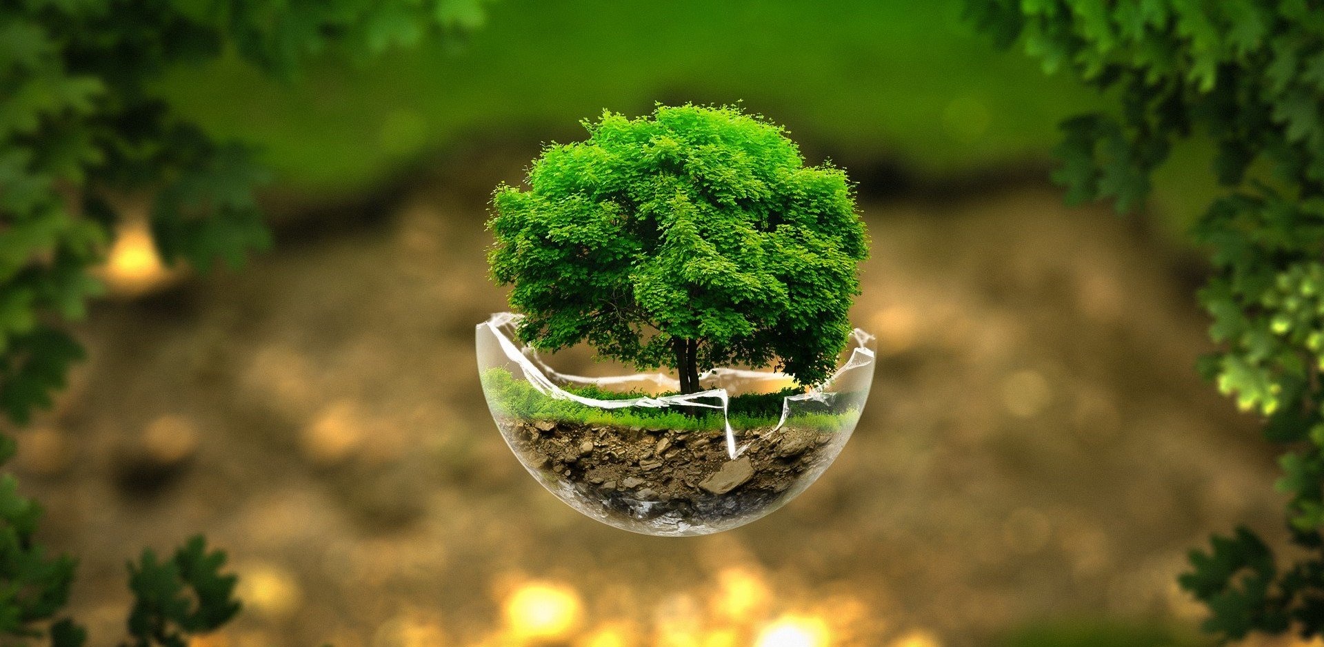 Tu vi chu nhat ngay 25/9 cua cac cung hoang dao hinh anh