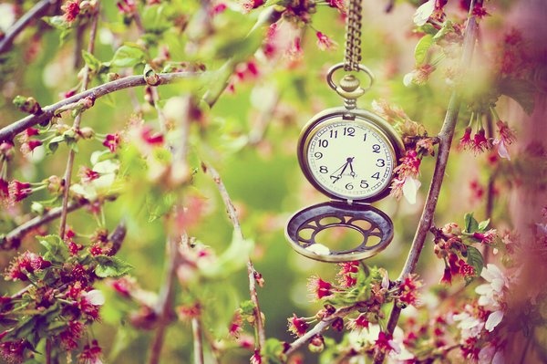 Tu vi thang 10 cua cac cung hoang dao hinh anh