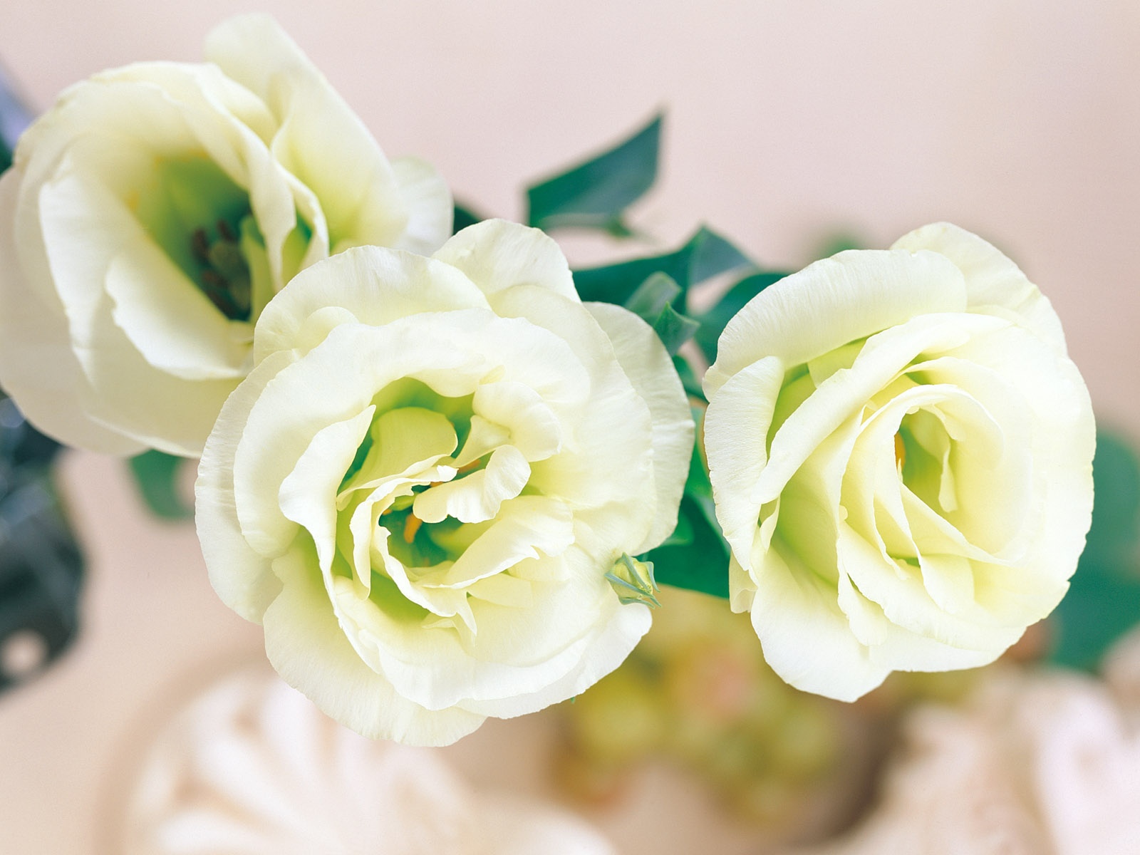 Tu vi thu tu ngay 5/10 cua cac cung hoang dao hinh anh