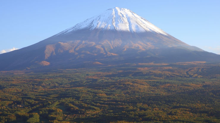 Nhung dia danh khien ai cung rung minh hinh anh